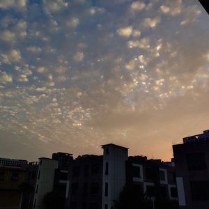 白胖肥妇污污污短视频免费观看下载
